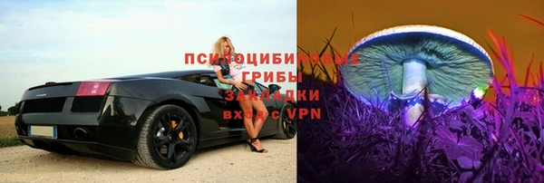 марки lsd Новозыбков