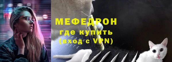 стаф Козловка