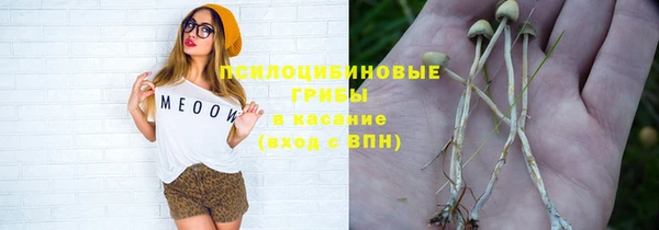марки lsd Новозыбков