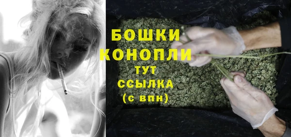 марки lsd Новозыбков