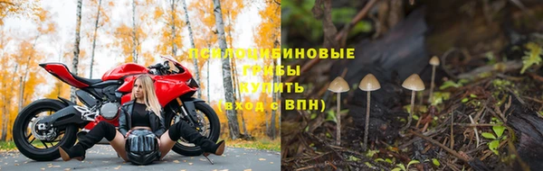 mdma Новодвинск