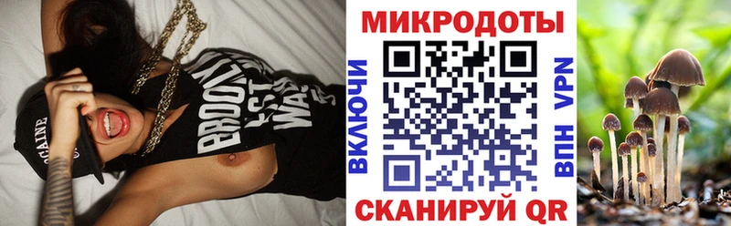 Галлюциногенные грибы Psilocybe  Россошь 