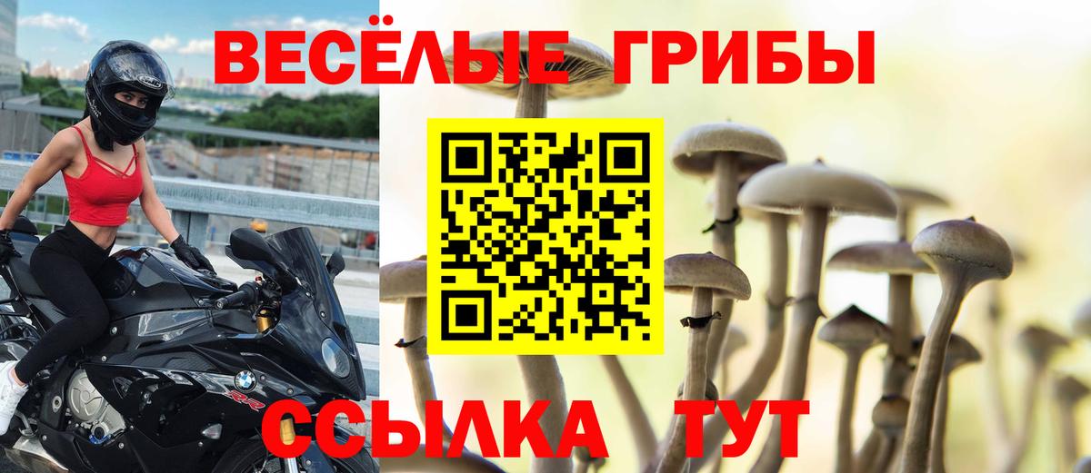 Псилоцибиновые грибы GOLDEN TEACHER Россошь